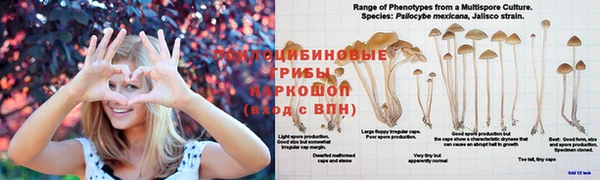 ALPHA-PVP Арсеньев
