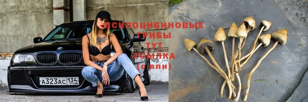 таблы Аркадак